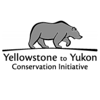 Yellowstone To Yukon Conservation Initiative